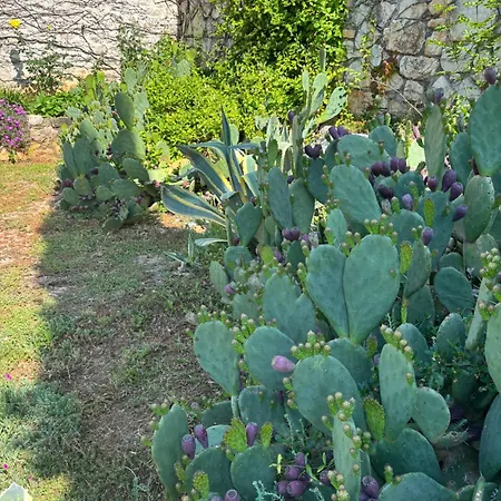 Bed & Breakfast Domos Selene Casa Luna