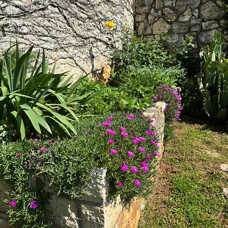 Bed & Breakfast Domos Selene Casa Luna Tinjan