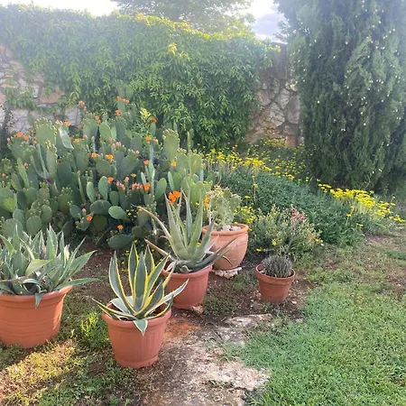 Domos Selene Casa Luna Bed and Breakfast Tinjan