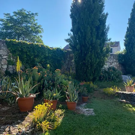 Domos Selene Casa Luna Bed and Breakfast