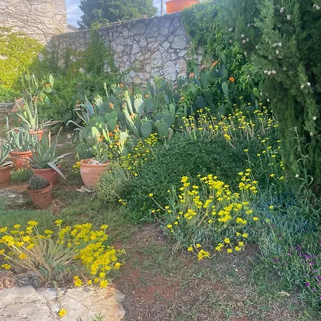 Domos Selene Casa Luna 4* Tinjan